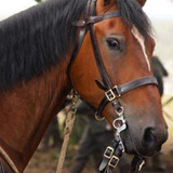 Finder's Key — Tornado