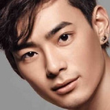 Dominic Ho Hou-Man — Dai Tin-Yee