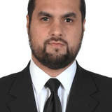 Нил Александр Смит — Holiday Maker