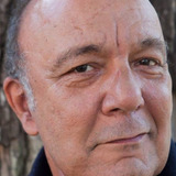 Manuel Vicente — Detective