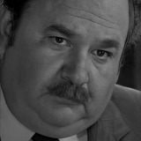 Владимир Востриков — Vesten - police inspector