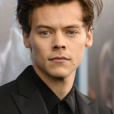 Harry Styles — Alex