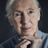 Jane Goodall — Self