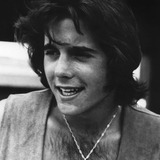 Desi Arnaz Jr. — Det. Clint Morgan