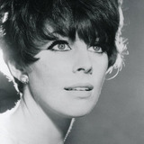Elizabeth Knowles — Sheree Sudaine