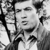 Yūzō Kayama — Yuzo Kayama