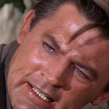 Ron Foster — Skip Hanlon