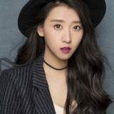 Yin Fei