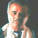 Arch Hall Sr. — Radio Announcer / Narrator (voice)