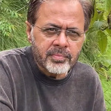 Dadhi Pandey — Sharma Ji