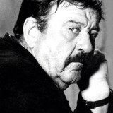 Pavle Vuisić — Ljubiša