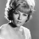 Julia Foster — Regine