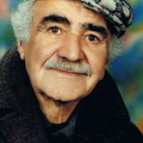 Nematollah Gorji — Officer Sedaghati