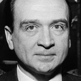 Albin Skoda — Manuel
