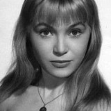 Anne Collette — Marion Dimater