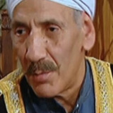 Mohammad Abdel Haleem