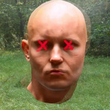 Viktor Murzikov — James (voice)