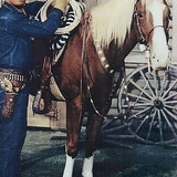 Champion — Champ, Gene's horse