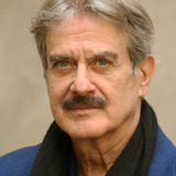 Giuseppe Pambieri — Alberto Moretti