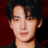 Ян Ян — Lei Zhenyu