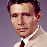 Harry Guardino — Bressler