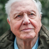 David Attenborough — Narrator