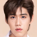 Krit Amnuaydechkorn — Self