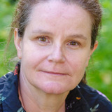 Katrin Pollitt — Dorothea