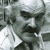 Stole Aranđelović — Gavran