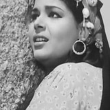 Zizi Fared — Wagida