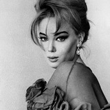 Edy Vessel — The Model