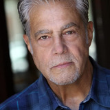 Винсент Гуастаферро — Michael Cerrito