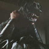 Harry — Harry (dog - uncredited)