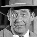 Howard Negley — Police Captain (uncredited)