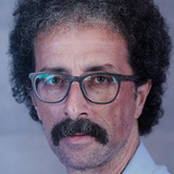 Babak Lotfi Khajepasha — The Teacher