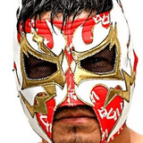 Tokimitsu Ishizawa — Kendo Kashin