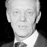 Georg Lehn — Detective Bruehl