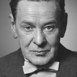 Арво Лехесмаа — Vesanen (uncredited)