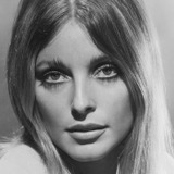 Sharon Tate — Jennifer North