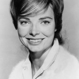 Джоан Фриман — Mrs. Jarvis