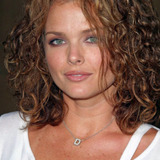 Дина Мейер — Allison Kerry
