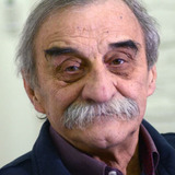 Ljubiša Ristić — Inspektor