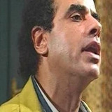 Mohamed Kamel — Prosecuting Attorney