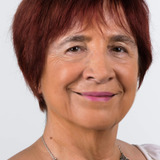 Carmen Hertz — Self - Lawyer