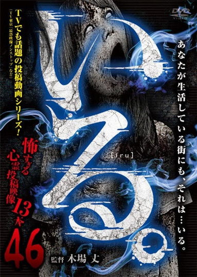 「Iru.」~ Kowasugiru Tōkō Eizō 13-hon ~ Vol.46