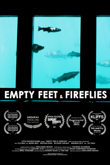 Empty Feet & Fireflies