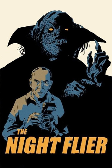 Ночной полет