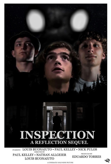 INSPECTION: A REFLECTION SEQUEL