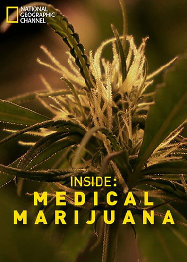 Взгляд изнутри: Лечебная марихуана