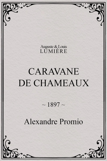 Caravane de chameaux